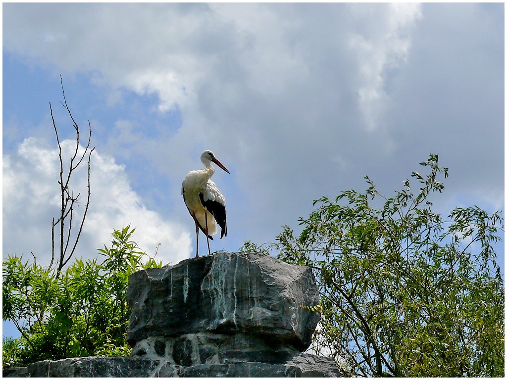 3eme-ile-des-immortels-2