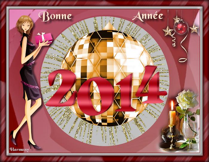 Bonne Année 2014.1