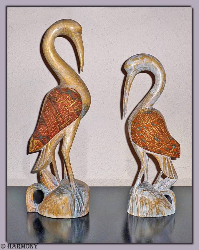 Couple d'échassiers