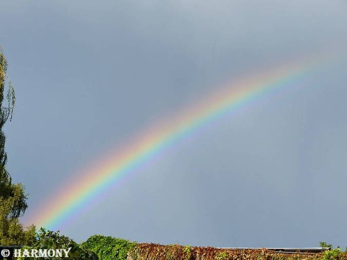 Arc-en-ciel 2