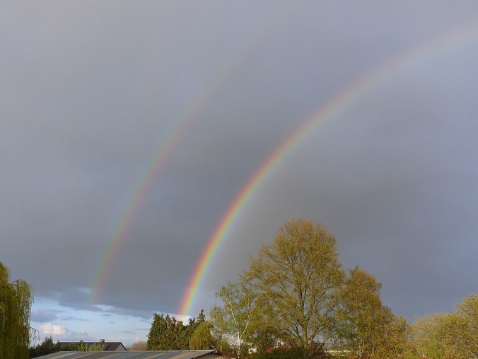 Arc-en-ciel 5